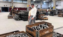 Kaymakam Mutlu Köksal, Sungurlu OSB’nin ilk fabrikasını ziyaret etti