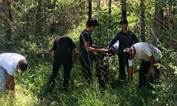 Osmancık ve Kargı Ülkü Ocakları’ndan örnek davranış