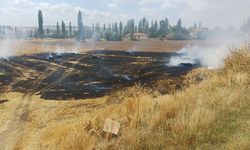 Alaca’da korkutan yangın: 20 dönüm arazi ve 50 saman balyası kül oldu