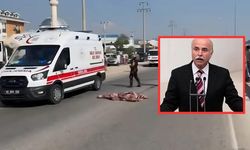 Ali Boğa Kimdir, Nereli, Neden Öldü, Kaç Yaşındaydı?