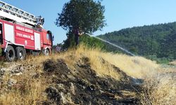 Osmancık’ta korkutan yangın: Rüzgarla yayıldı, ekipler anında müdahale etti