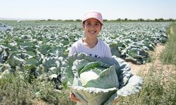 Borsası bu köyde kuruluyor! 100 yıllık tohumla Türkiye'ye satıyorlar