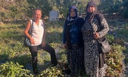 AK Parti Kargı İlçe Başkanı Demiral’dan çilek üreticisine destek sözü