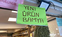 Kilosu 3700 TL'ydi, şimdi alan yok: Fiyatı altınla yarışan bamyada şok düşüş