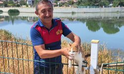 Kızılırmak’a düşen kedi, İtfaiye Ekipleri tarafından kurtarıldı