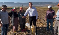 Çorum’da şaşırtan karar: Çiftçi patatesleri ücretsiz dağıtıyor