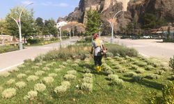 Osmancık’ta parklar baştan aşağı yenileniyor: Ekipler sahada
