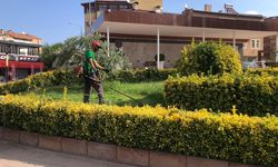 Osmancık’ta parklar yenileniyor: Çim biçme ve bakım çalışmaları hızlandı