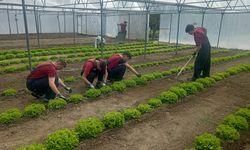Gençler için yeni gelecek kapısı: Tarım Meslek Lisesi öğrenci alımına başladı