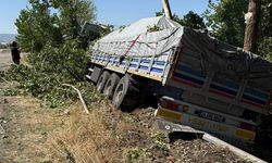 Sürücü direksiyon hâkimiyetini kaybetti: TIR ağaçlara çarptı, facia ucuz atlatıldı
