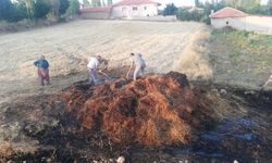 Tarlada çıkan yangın sonrası zarar büyük: 300 balya yandı