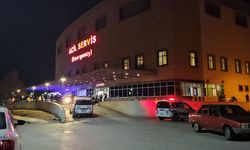 Attan düşen kadın hastanelik oldu