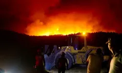 Türkiye’de orman yangınları: Denizli ve Aydın kontrol altında, Karabük ve Kastamonu’da alevler sürüyor