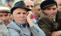 Araştırma ortaya koydu: Emekliler çalışmadan temel ihtiyaçlarını karşılayamıyor