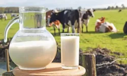 Çorum İl Tarım ve Orman Müdürlüğü’nden Dünya Süt Günü mesajı