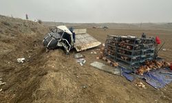 Tavuk yüklü kamyonet şarampole uçtu: 1 ölü