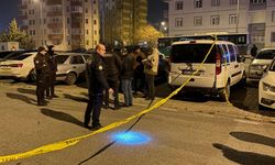 Komşu kavgasında silahlar konuştu: 1 yaralı