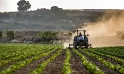 Çiftçilere 110 milyon TL tarımsal destek ödemesi