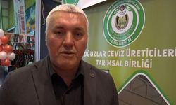 Ceviz üreticilerinden tarihi karar: İl Birliği kuruldu