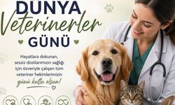 Hasan Taş’tan veteriner hekimlere anlamlı mesaj