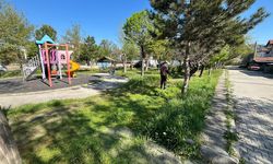 Osmancık’ta yeşil alanlarda bakım çalışmaları sürüyor