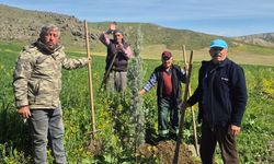 Köylerde ağaçlandırma seferberliği başlatıldı