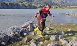 Kargı’da kaçak avcılığa darbe: 500 metrelik ağ ele geçirildi