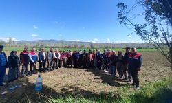 Sungurlu’da üreticilere tarlada tarımsal bilgilendirme