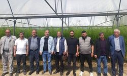 410 metrekarelik alanda üretiliyor: Yeni gelir modeli dikkat çekiyor