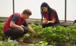 Çorum'daki bu ürünler öğrenciler tarafından yetiştiriliyor