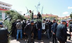 Alaca’da vatandaşlara çam fidanı dağıtıldı