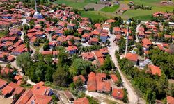 4 köyde 6 hazine arazisi satışa çıkarıldı: İhalesi yapılacak