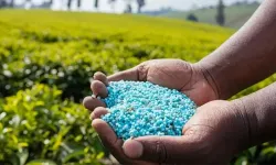 Çiftçinin beklediği haber geldi: Gübrede gümrük vergisi sıfırlandı