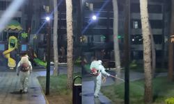 Gemici Tabiat Parkı’nda ilaçlama çalışması yapıldı