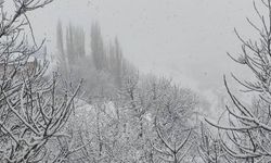 Çiftçiler alarmda: Mayıs başında zirai don felaketi kapıya dayandı