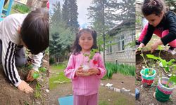 Minik öğrenciler fasulye dikerek doğayı öğrendi