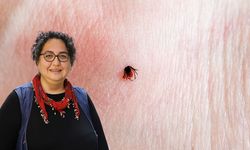 Keneler erken uyandı: "Belirtilerin ortaya çıkmasını beklemeyin"