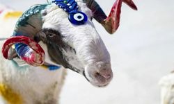 Çorum’da kurban bağışına destek çağrısı