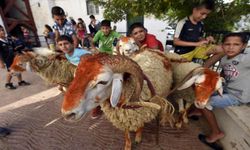 Kurban Bayramı yaklaşıyor: Hazırlık süreci başladı
