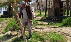 Laçin’de mesire alanında ilaçlama çalışması