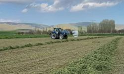 Yonca hasadında paketleme ve taşıma başladı