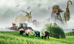 14 Mayıs Dünya Çiftçiler Günü: Toprağın emekçileri geleceğin yükünü taşıyor
