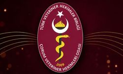 Veteriner hekimler 9 Mayıs’ta bir araya geliyor
