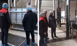 Kurban Bayramı öncesi kesimhanelerde sıkı denetim