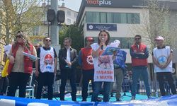 Tuba Demirel: Susarsak sefalet büyür