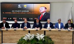 İl Başkanı Alar: Çalışmalarımızı kararlılıkla sürdürüyoruz