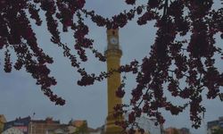 Yağmur Çorum’u tabloya çevirdi