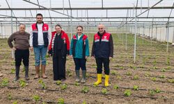 Mecitözü’nde kadın kooperatifi ve sera alanına ziyaret