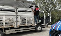 Kurban Bayramı öncesi hayvan sevklerine sıkı denetim