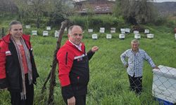 Çorum’da tarım arazilerinde hasar tespiti yapıldı